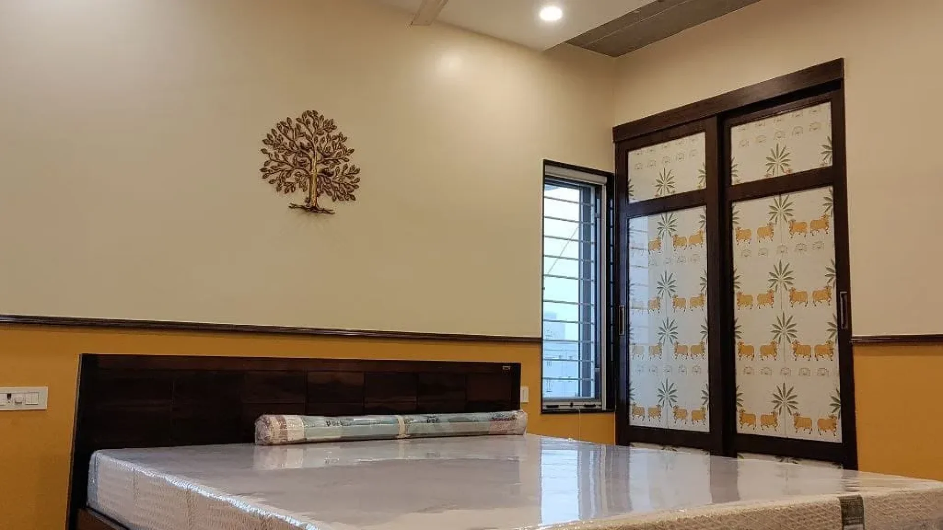 photo_6271651515416120779_y